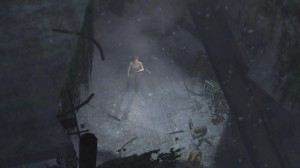 Tomb Raider screenshot