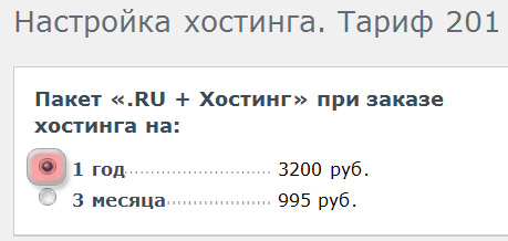 На один год