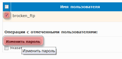 FTP Новый пароль