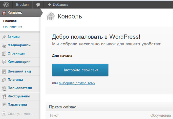 Консоль WordPress