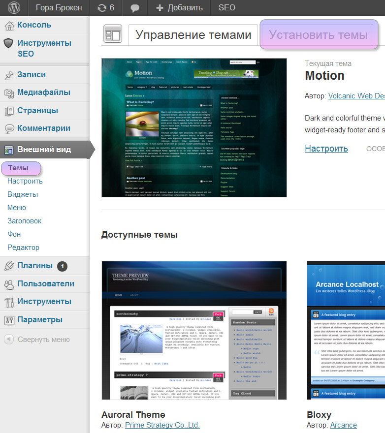 Wordpress install theme