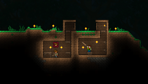 Terraria