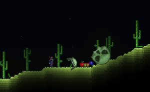 Terraria