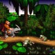 Donkey Kong Country