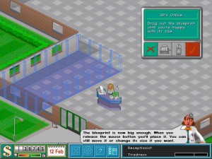 Theme Hospital