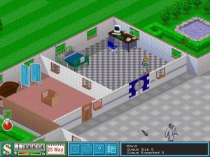 Theme Hospital