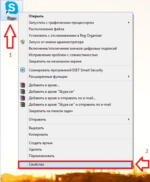 Второй Skype