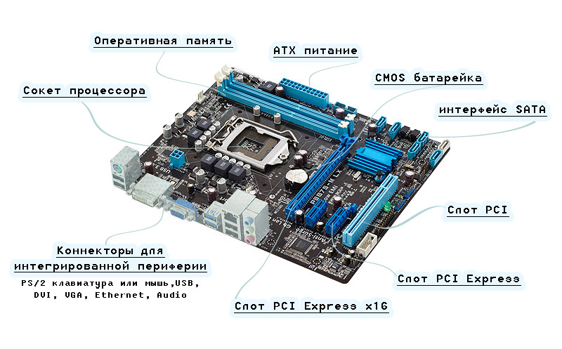 Доклад: Материнская плата. Устройства, подключаемые на неё