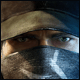 Watchdogs