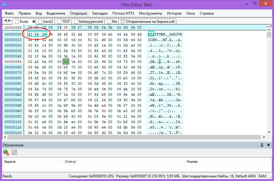 Открытый в HEX-редакторе файл