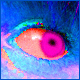 Eye