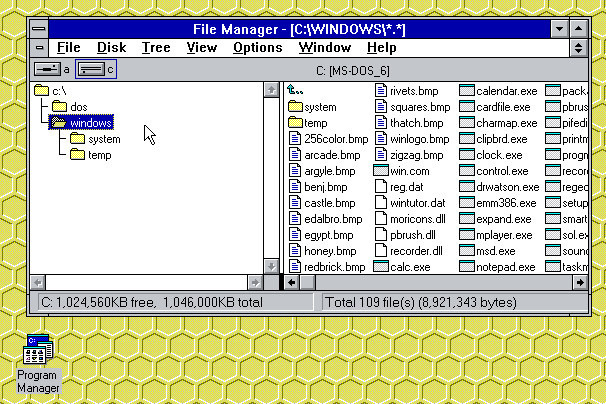 Windows 3.1