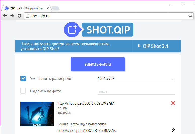 QIP Shot