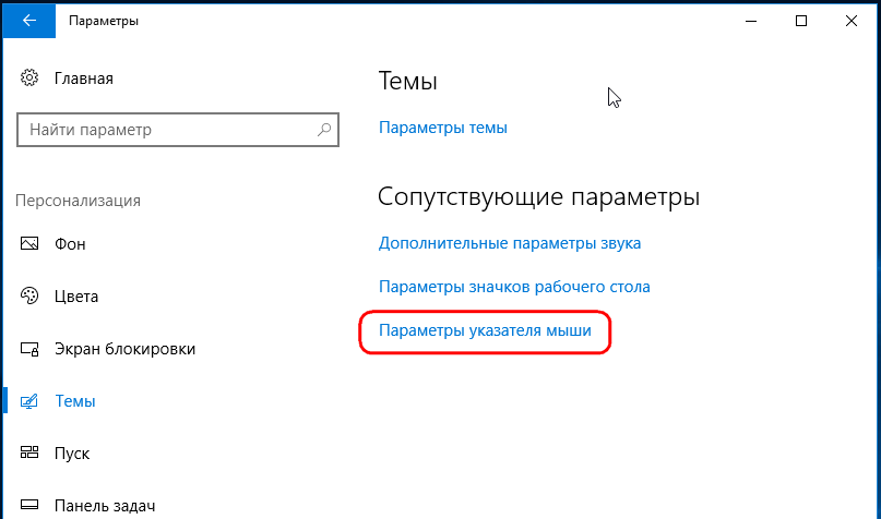 Темы