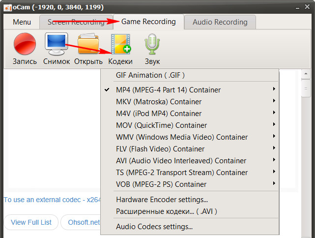 Game Recording