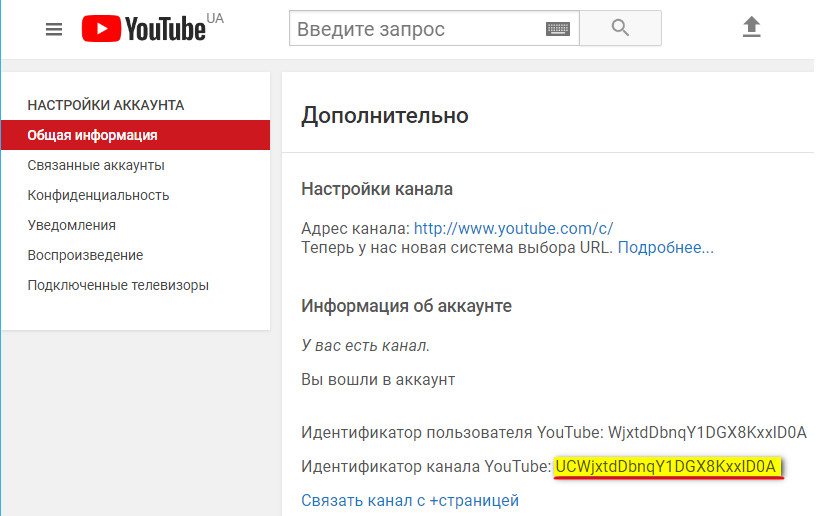 Где канал youtube