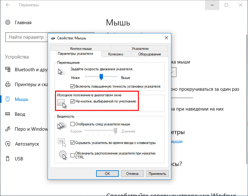 Почему при нажатии выделяется. Кнопка диалогового окна. Вид мышки курсора на экране. Параметры мыши. Диалоговое окно настройки мыши.