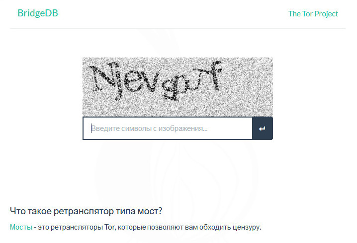 Модели обходят цензуру. Защита форм captcha. Как вводить капчу по картинке. Captcha не введены символы с картинки. Блюда капча рисунок.