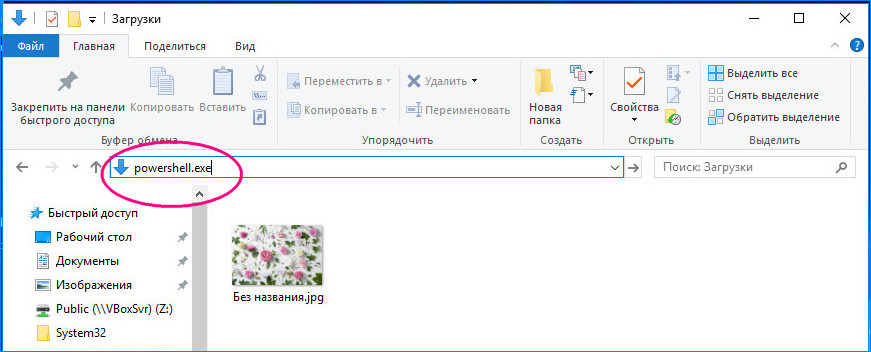 Проводник
