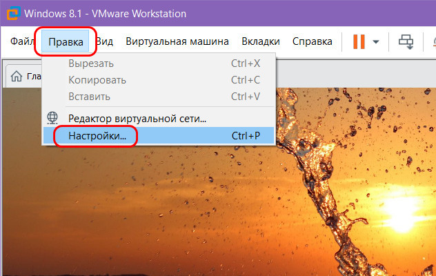 Vmware tools как установить на windows 10