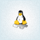 Wsl