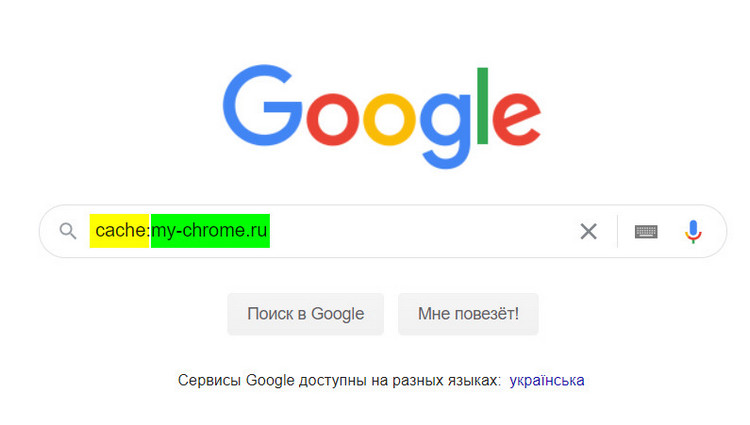 Поиск Google