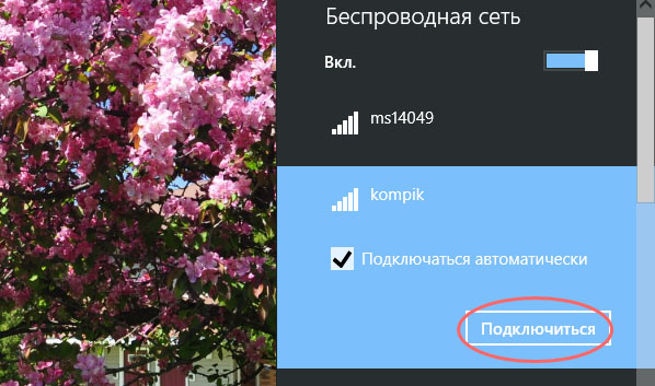 Virtual Network Adapter