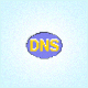 Dnsdataview