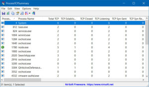 ProcessTCPSummary