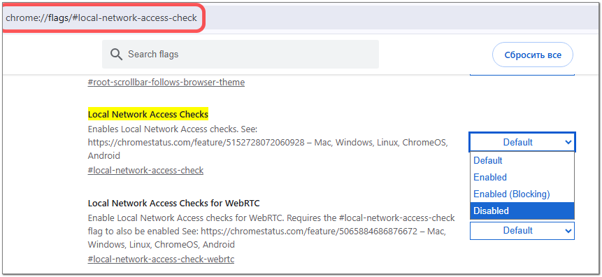 Local Network Access Checks