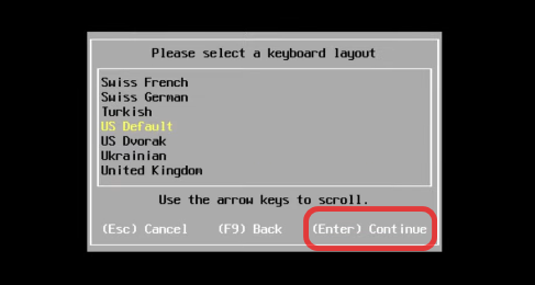VMware ESXi Installation