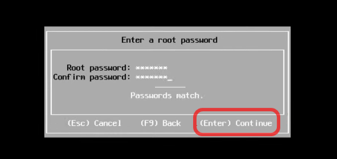 VMware ESXi Installation