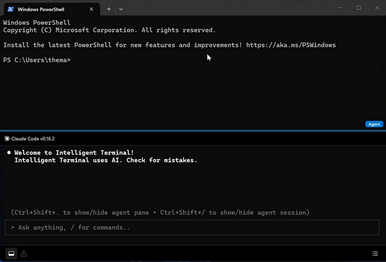 Intelligent Terminal